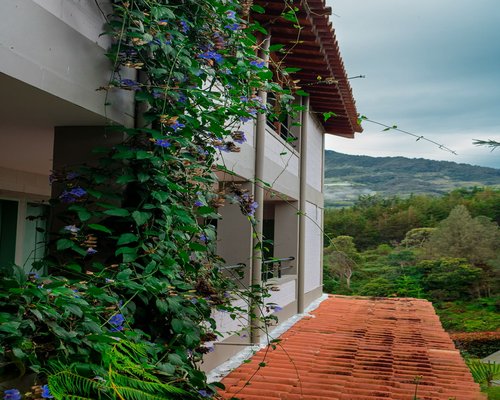 resting at home after a calm day outdoors in Colombia