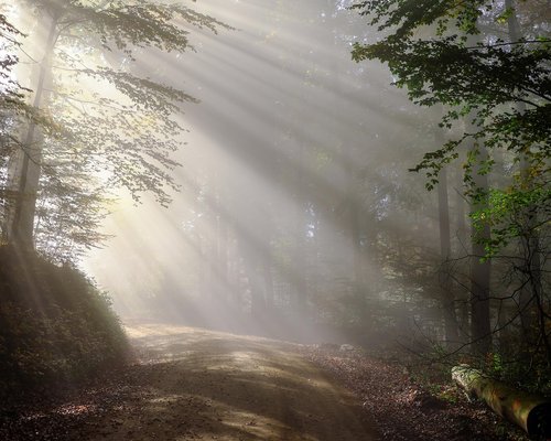 green mountain trail view in Colombia with misty morning light